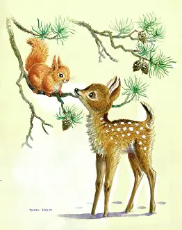 Bough: Fawn looking at a squirrel on a pine bough
