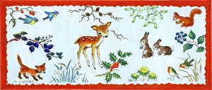 Aconites: Fawn, rabbits, squirrel, fox, robins and blue tits