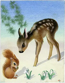Fawn: Fawn and red squirrel in the snow