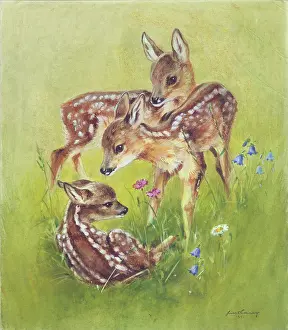 Fawns: Three Fawns