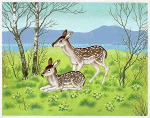 Fawns: Two fawns beside a lake with primroses