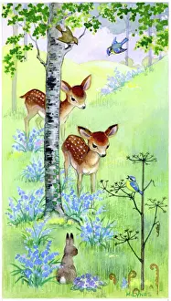 Lynes: Fawns, rabbit and bluebells
