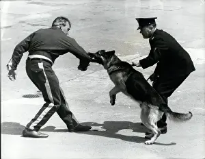 Handlers: FBI - Fire Department - Police