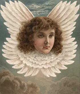 Encompassed: Feathered Angel Head