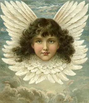Encompassed: Feathered Angel's Head