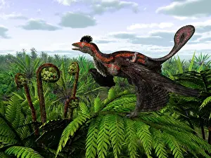 Microraptor: A feathered Microraptor perched atop a tree fern
