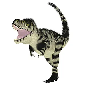 Tyrant: A feathered Tyrannosaurus rex dinosaur