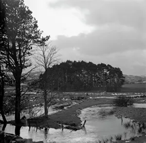 Swollen: February landscape in the Welsh Borders