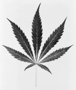 Narcotics: Federal Bureau of Narcotics illustration ?