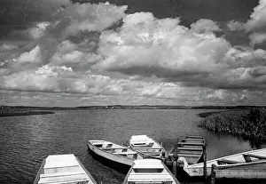 Reeds: The Federsee in Bad Buchau, 1937