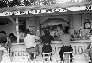 Shahn: The Feed Box, Scene at Buckeye Lake Amusement ?