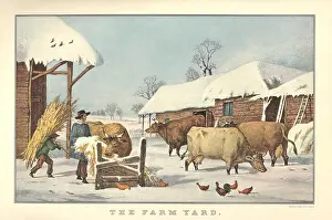 Barnyard: Feeding Animals