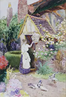 Woodlock: Feeding the Birds