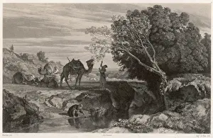 Nibble: FEEDING A CAMEL