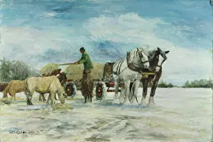 Godderidge: Feeding the Cattle ' in snow