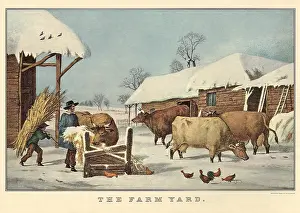 Boonies: Feeding the Cows
