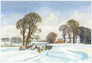 Jezzard: Feeding the Cows in the Snow