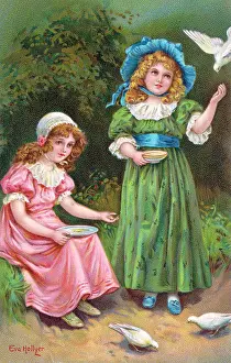 Hollyer: Feeding Doves