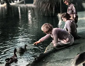 Acolourisedpic: Feeding the Ducks