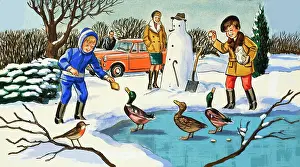 Sheepskin: Feeding Ducks