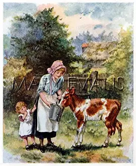 Motherless: FEEDING A FOAL 1890S