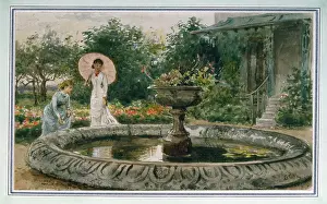 Goldfish: Feeding the Goldfish ' ornamental pond