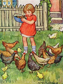 Macgregor: Feeding the hens