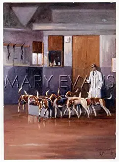 Croome: FEEDING THE HOUNDS