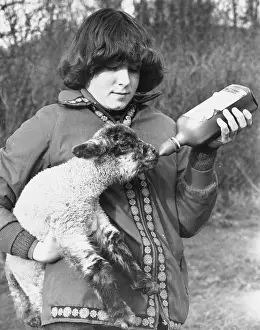 Teat: FEEDING A LAMB