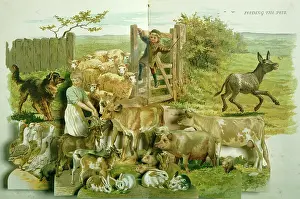 Pail: Feeding the Pets ' sheep, pigs, geese etc