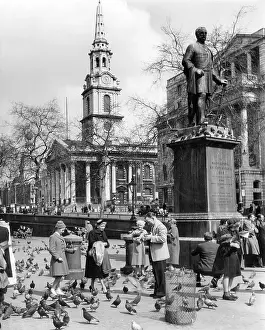 Havelock: FEEDING PIGEONS 1950