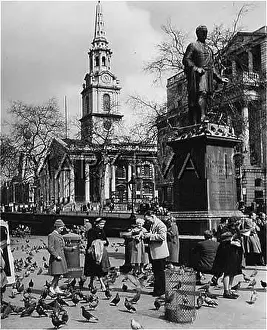 Havelock: FEEDING PIGEONS/1950S