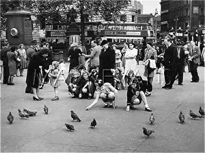 Civilised: FEEDING PIGEONS 1950S