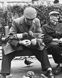 Feeds: Feeding the pigeons - Manchester, 1967