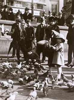 Stereo: Feeding the pigeons, Trafalgar Square, London