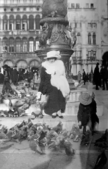 Pigeons: Feeding pigeons in Venice