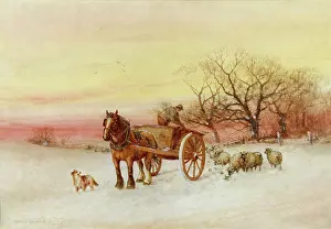 Stannard: Feeding Sheep in Winter