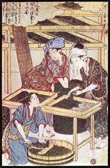 Cultivating: Feeding Silkworm Cocoons, Silk Making in Japan