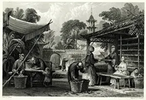 Silkworms: Feeding Silkworms - China
