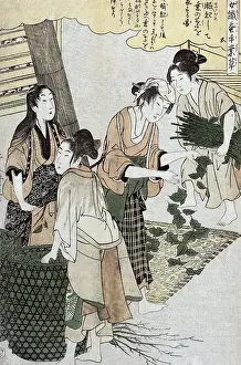 Silkmaking: Feeding Silkworms, Silk Making in Japan