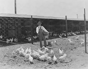 Farmhand: Feeding time at the coop