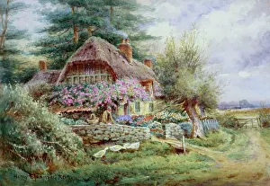 Stannard: Feeding Time ' cottage and ducks