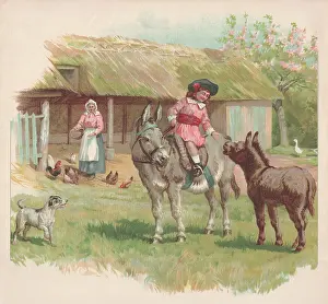 Peter & Dawn Cope Collection: Feeding Time in the Farmyard