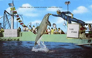 Apr17: Feeding time - Marine Studios, Marineland, Florida, USA