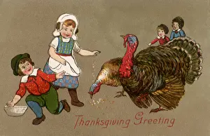 Turkeys: Feeding Turkeys