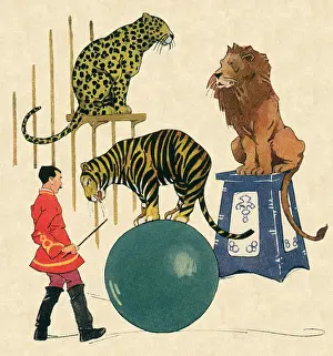 Balances: Felines and Trainer