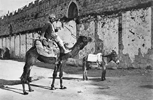 Fellah: Fellah with camel and donkey, Jerusalem