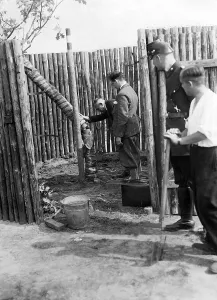 Sawing: Felled Hindenburg Oak in Berlin, 1933