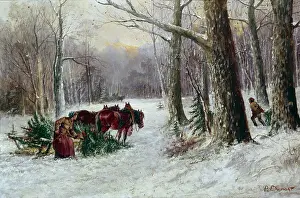 Felling: Felling Christmas Trees ' snow scene