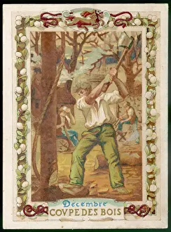 Sawing: FELLING TREES